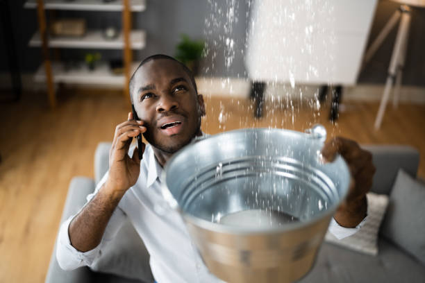 Best Professional water damage repair  in Lake Telemark, NJ