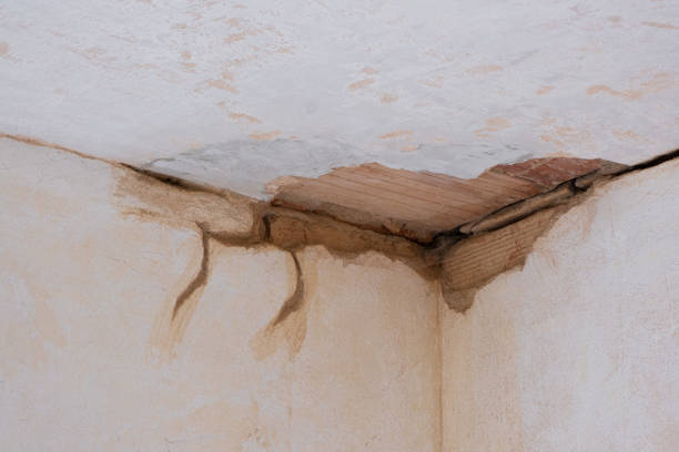 Best Flood damage cleanup  in Lake Telemark, NJ