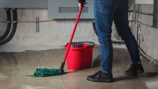 Best Flooded house restoration  in Lake Telemark, NJ